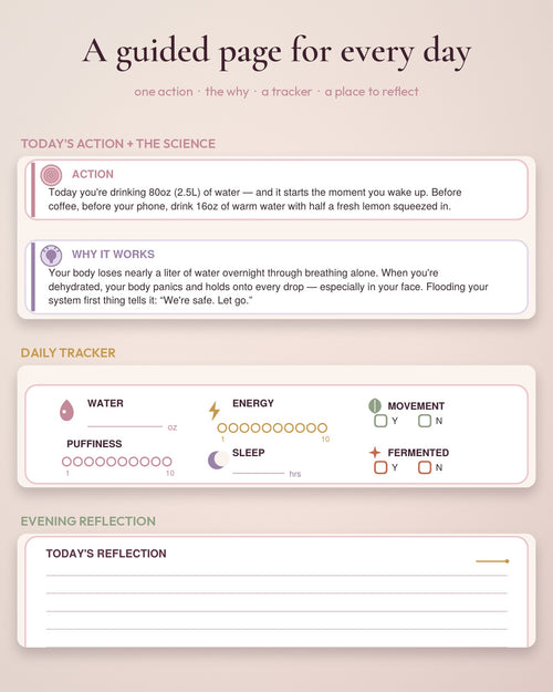 Unmasked: The 30-Day Debloat Journal
